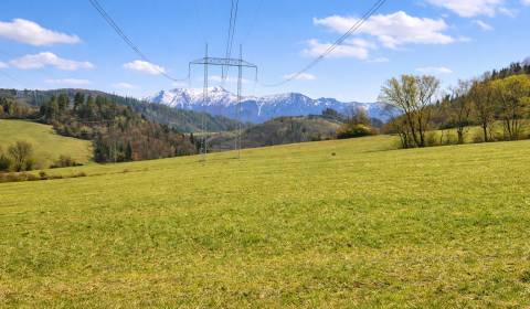 Sale Agrarian and forest land, Agrarian and forest land, Kotrčiná Lúčk