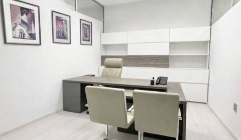 Rent Offices, Offices, Mariánske námestie, Žilina, Slovakia