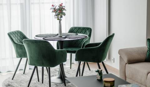 Rent One bedroom apartment, One bedroom apartment, Pribinova, Bratisla