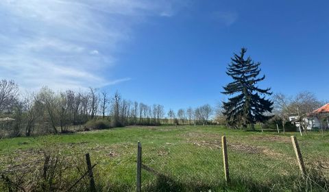 Sale Land – for living, Land – for living, Bardoňovo, Nové Zámky, Slov