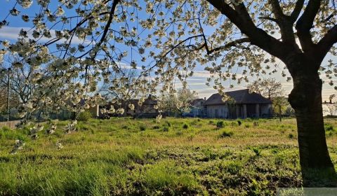 Sale Land – for living, Land – for living, Komárno, Slovakia