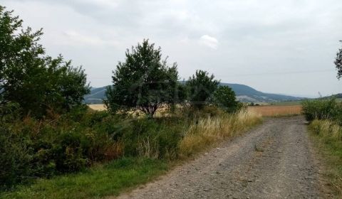 Sale Agrarian and forest land, Agrarian and forest land, Bardejov, Slo