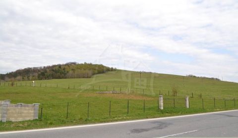 Sale Agrarian and forest land, Agrarian and forest land, Svidník, Slov