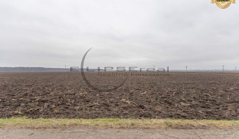 Sale Agrarian and forest land, Agrarian and forest land, Dolná, Malack