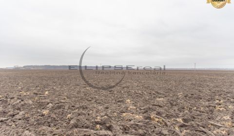 Sale Agrarian and forest land, Agrarian and forest land, Dolná, Malack