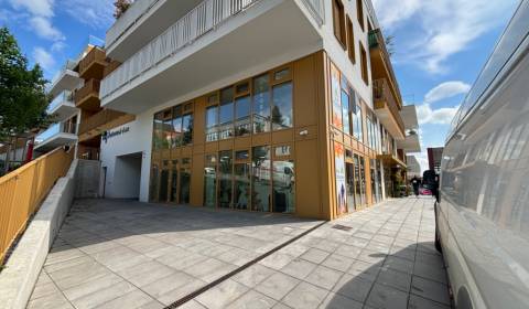 Rent One bedroom apartment, One bedroom apartment, Piaristická, Nitra,