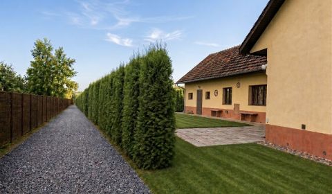 Sale Family house, Family house, Biskupická, Trenčín, Slovakia