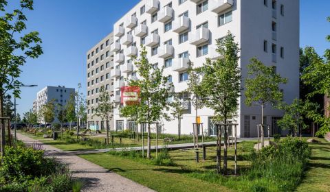 Rent Two bedroom apartment, Two bedroom apartment, Ivanská cesta, Brat