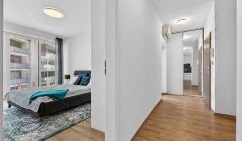 Rent One bedroom apartment, One bedroom apartment, Orechová, Senec, Sl