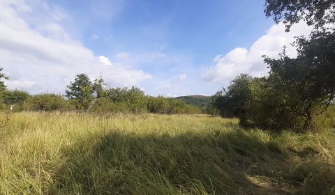 Sale Recreational land, Recreational land, Horné Jabloňovce, Levice, S