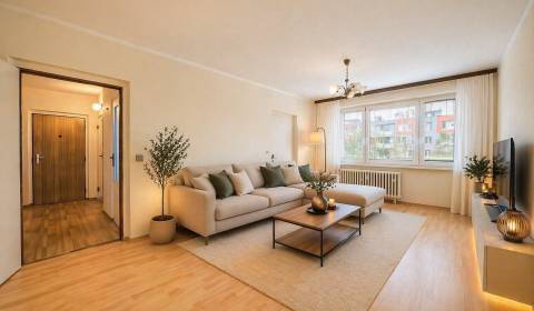 Sale One bedroom apartment, One bedroom apartment, Sládkovičova, Lučen