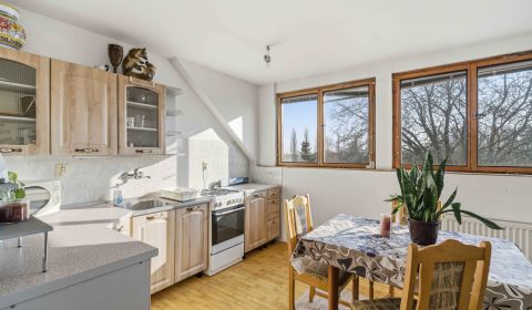 Sale Family house, Family house, Trnava, Slovakia