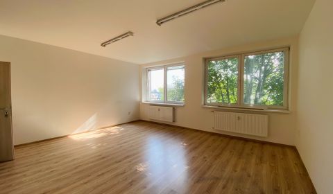 Rent Offices, Offices, Priemyselná, Michalovce, Slovakia