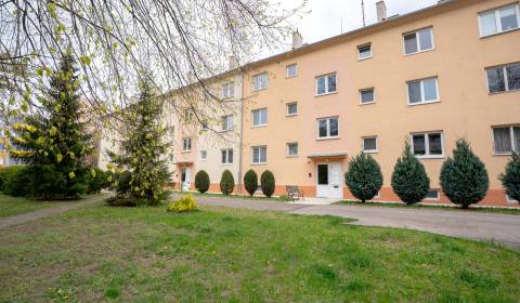 Sale One bedroom apartment, One bedroom apartment, Dlhé Hony, Trenčín,