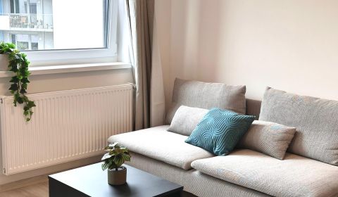 Rent One bedroom apartment, One bedroom apartment, Hraničná, Bratislav
