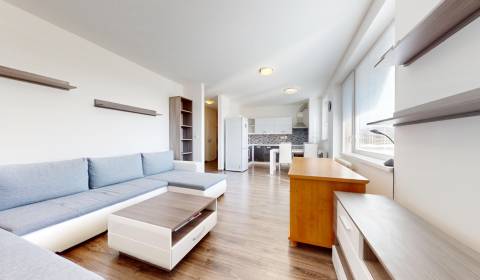 Rent One bedroom apartment, One bedroom apartment, Okružná, Malacky, S