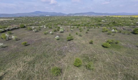 Sale Land – for living, Land – for living, Dolná, Pezinok, Slovakia