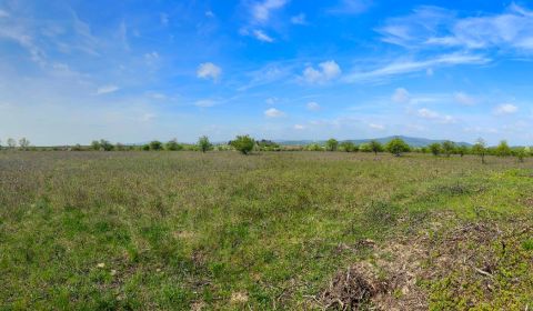 Sale Land – for living, Land – for living, Dolná, Pezinok, Slovakia