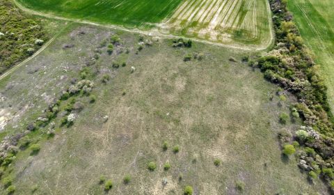 Sale Land – for living, Land – for living, Dolná, Pezinok, Slovakia