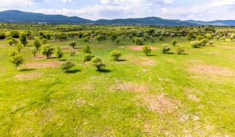 Sale Land – for living, Land – for living, Dolná, Pezinok, Slovakia