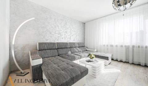 Rent Two bedroom apartment, Two bedroom apartment, Jilemnického, Dunaj