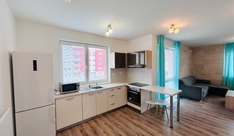 Rent One bedroom apartment, One bedroom apartment, Andovská, Nové Zámk