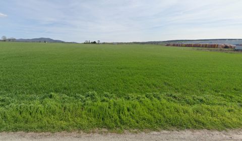 SALE - Industrieplot 133.667 m2-7 km from the factory Jaguar-Landrover