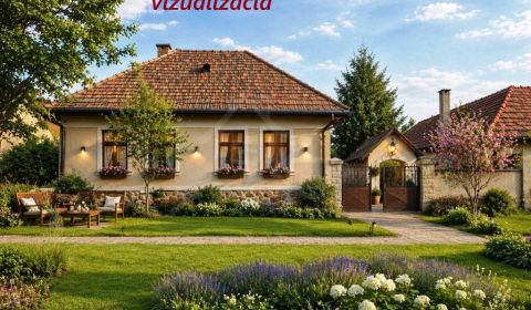 Sale Cottage, Cottage, Levice, Slovakia