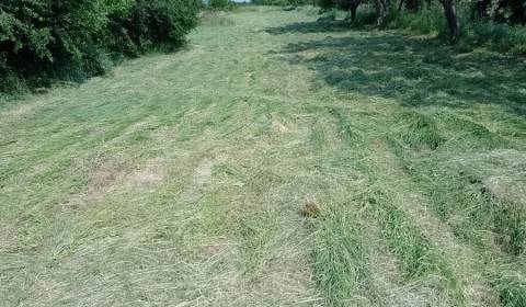 Sale Land – for living, Land – for living, Hlavná, Michalovce, Slovaki