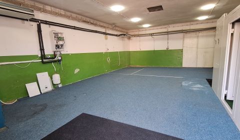 Rent Storehouses and Workshops, Storehouses and Workshops, Zoltána Kod