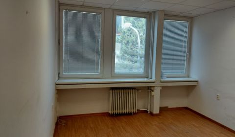 Rent Offices, Offices, Pluhová, Bratislava - Nové Mesto, Slovakia