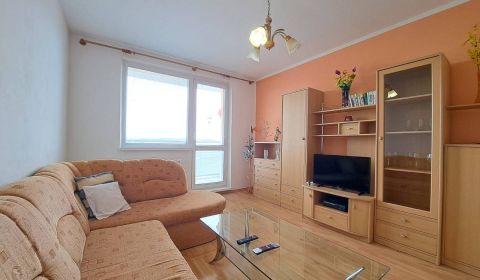 Rent One bedroom apartment, One bedroom apartment, Ludvíka Svobodu, Po