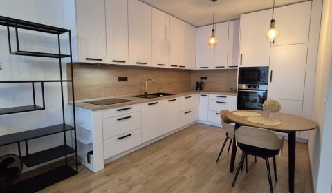 Rent One bedroom apartment, One bedroom apartment, Alvinczyho, Košice 