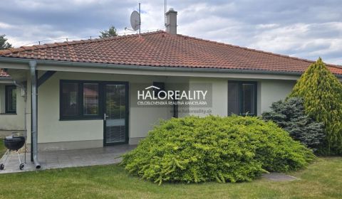 Rent Family house, Galanta, Slovakia