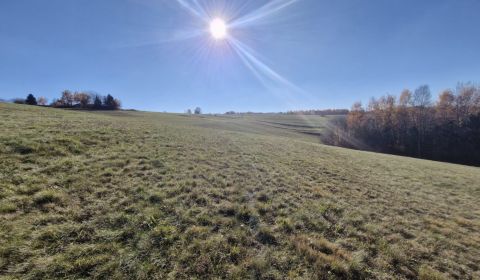 Sale Land – for living, Land – for living, Detva, Slovakia