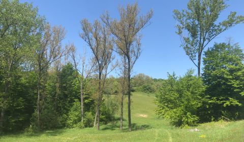 Sale Recreational land, Recreational land, Veľký Krtíš, Slovakia