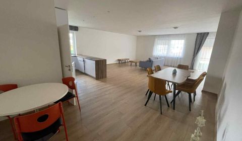Sale Family house, Family house, Kynek, Nitra, Slovakia