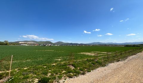 Sale Agrarian and forest land, Agrarian and forest land, Trenčín, Slov