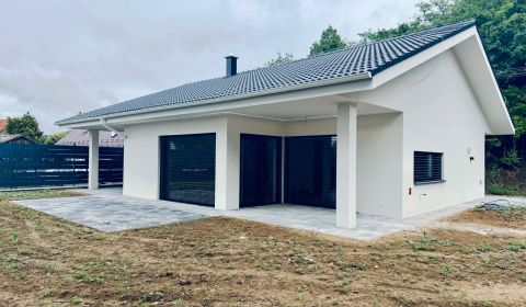 Sale Family house, Family house, Hrádok, Nové Mesto nad Váhom, Slovaki