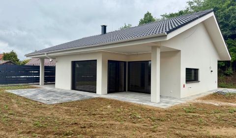 Sale Family house, Family house, Hrádok, Nové Mesto nad Váhom, Slovaki