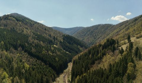 Sale Agrarian and forest land, Agrarian and forest land, Žilina, Slova