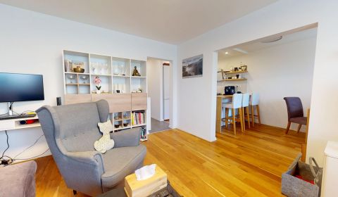 Sale One bedroom apartment, One bedroom apartment, Špačinská cesta, Tr