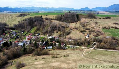 Sale Agrarian and forest land, Agrarian and forest land, Liptovský Mik
