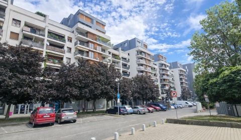 Sale Two bedroom apartment, Two bedroom apartment, Drieňová, Bratislav