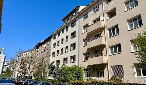 Rent One bedroom apartment, One bedroom apartment, Wilsonova, Bratisla
