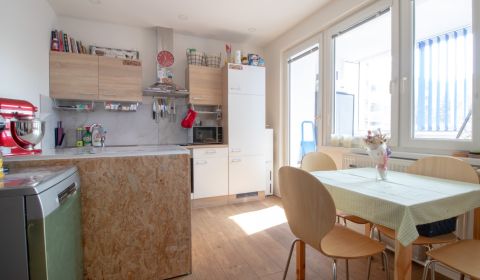 Rent One bedroom apartment, One bedroom apartment, Pod Hájom, Ilava, S