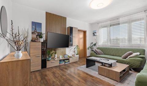 Sale Three bedroom apartment, Three bedroom apartment, Belinského, Bra