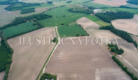 Sale Land – for living, Land – for living, Dunajská Streda, Slovakia
