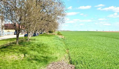 Sale Land – for living, Land – for living, Nové Zámky, Slovakia