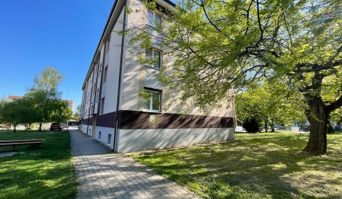 Rent One bedroom apartment, One bedroom apartment, Zornička, Galanta, 